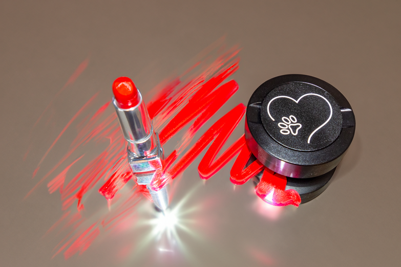 Gravierte Snusdose mit Motiv « Paw_Love « in stilvoller Präsentation, elegantes Metall-Design, personalisierbares Accessoire für Snus-Liebhaber