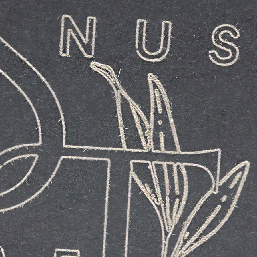 Nahaufname einer schwarzen Geschenkschachtel für Snusdosen, Logo auf der Oberfläche klar erkennbar, hochwertige Materialstruktur sichtbar.