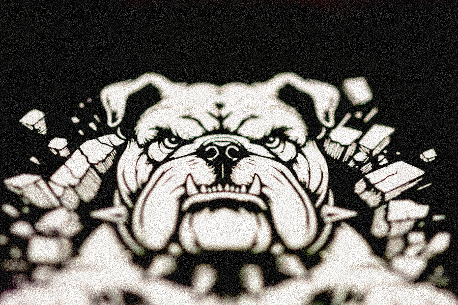 ZYN -Der stylische Adventskalender für moderne Snus-Fans