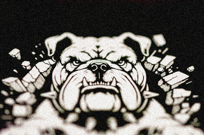 ZYN -Der stylische Adventskalender für moderne Snus-Fans